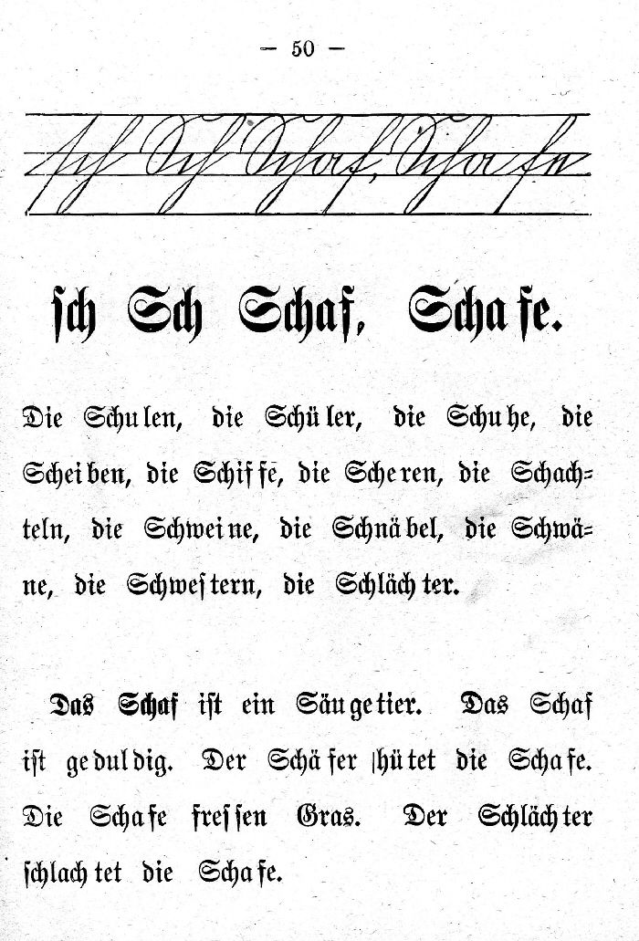 Deutsche Fibel -Sch (Schreibschrift /Druckschrift)